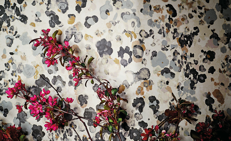 Kansai Black Edition Wallpapers Shades Interiors