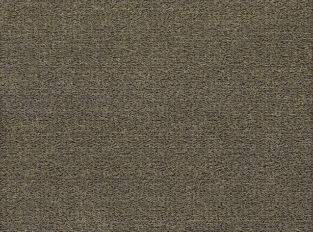 Chana Old Gold  (Copy)