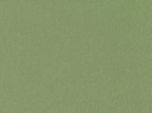 Atil Grass 3229/03 