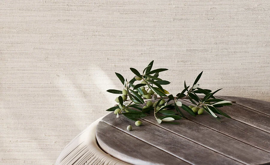 Mark Alexander Wallpapers | Shades Interiors