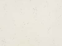 Ditto Wallcovering Porcelain W627/04 (Copy)