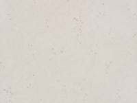 Ditto Wallcovering Cinder W627/03 (Copy)