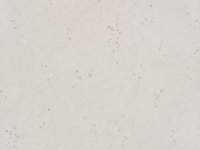 Ditto Wallcovering Cinder W627/03 (Copy)