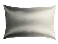 Kasian Gradient Cushion Rain Lead VNC3478/02