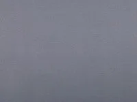 Kasian  Agapanthus V3175/07