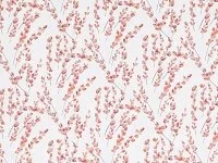 Leilani  Pomegranite 7934/03 (Copy)