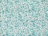 Ada Peacock 7935/03 (Copy)