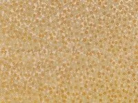 Charm Harvest Gold K5273/03