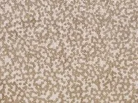 Charm Olive K5273/01