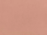 Motion Vintage Rose K5265/10