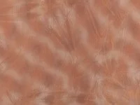 Mist Amber K5279/03