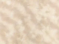 Mist Oat K5279/04