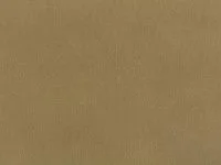 Motion Olive K5265/03