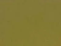 Velvesuede Jungle Z695/13