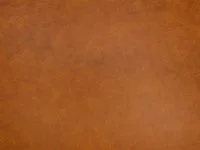 Jimi Leather Tan ZL100/07