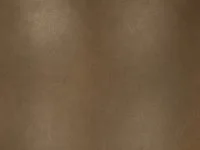Axel Leather Bronze ZL103/01