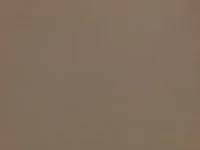 Stevia Leather Truffle ZL101/04