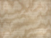 Caractere Wallcovering Spun Gold ZW143/01