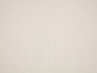 Bouvier Cloud Z697/01