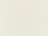 Bingley Bone Z707/01