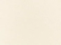 Frisé Canvas Z708/01