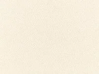 Poodle Moonbeam  Z710/01