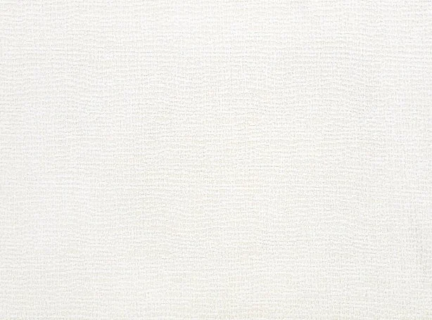 Bruce Blizzard Z352/01