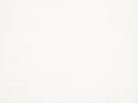 Bagheera Moonbeam Z636/01