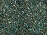 IMG_2444.jpeg