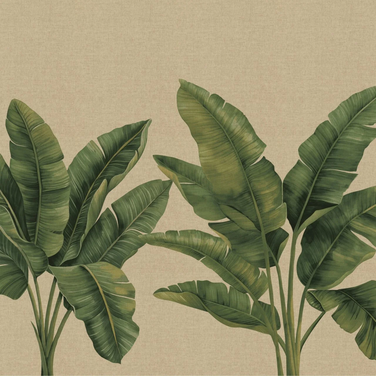 31003 PALMERA OASIS SHADE