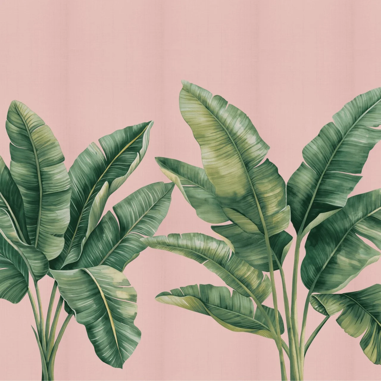 31009 PALMERA ROSE GROVE