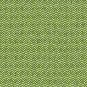 IMG_3330.jpeg