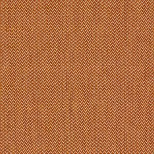 IMG_3331.jpeg