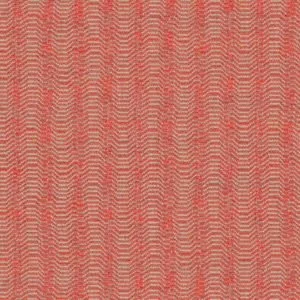 IMG_3312.jpeg