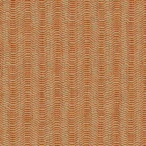 IMG_3311.jpeg