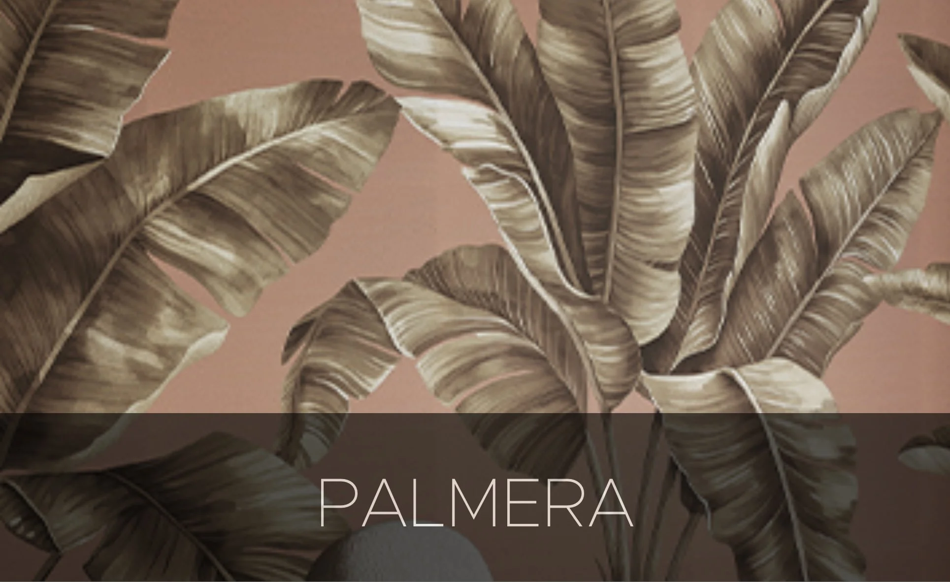 PALMERA