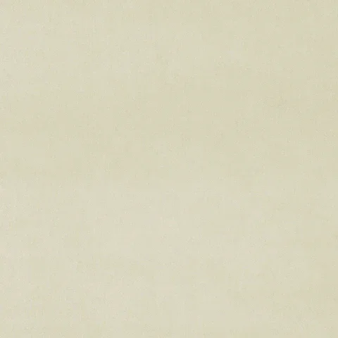 OMEGA  CHALK LF3838/001