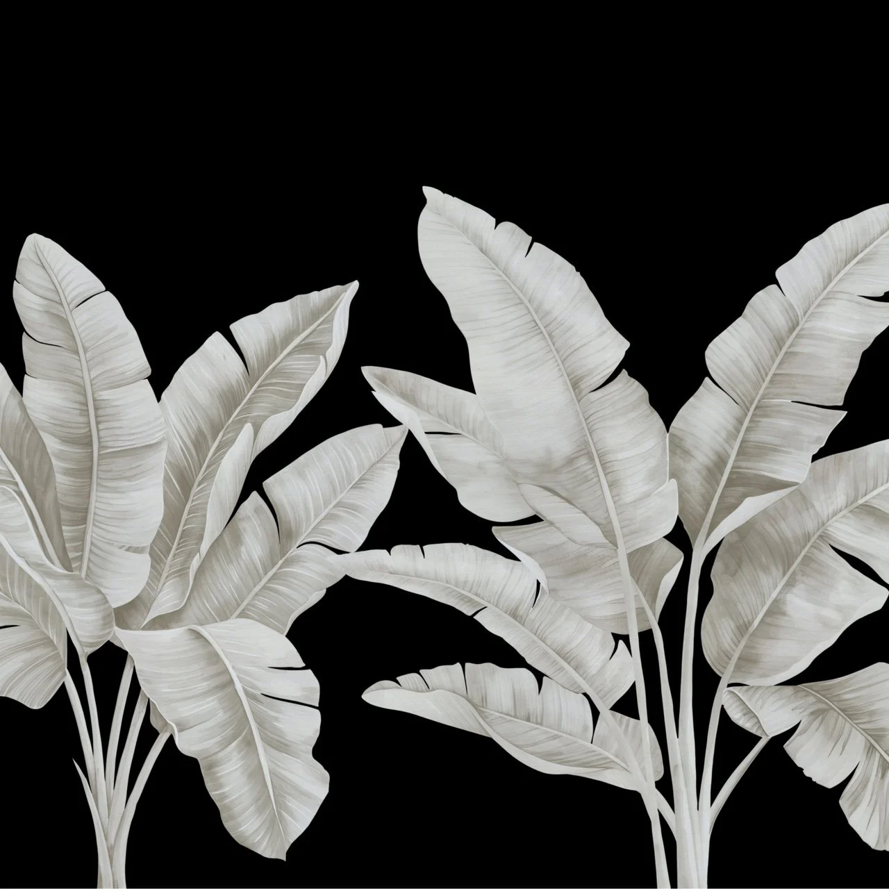 31008 PALMERA TROPICAL NOIR