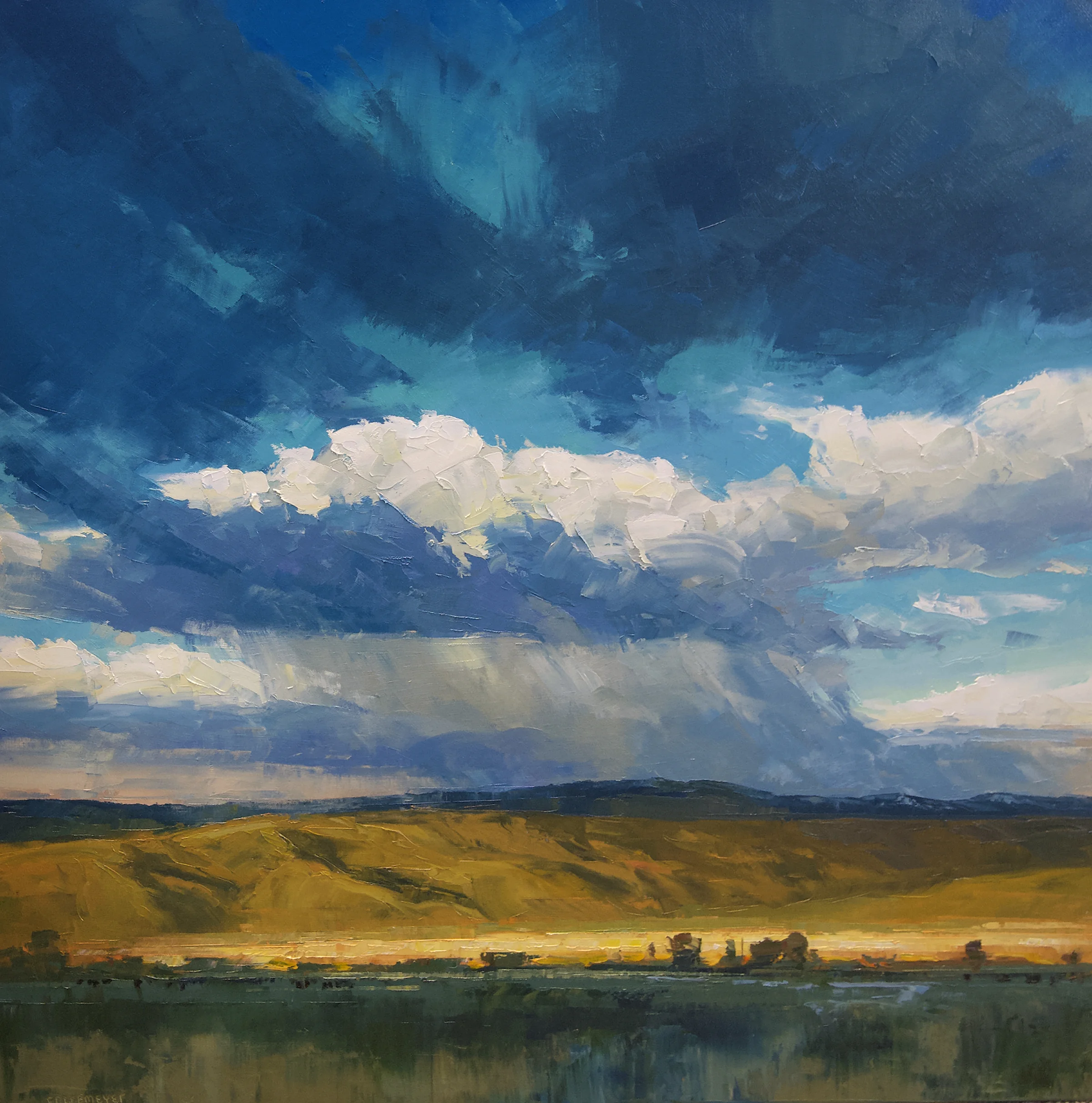 Flying Shadows