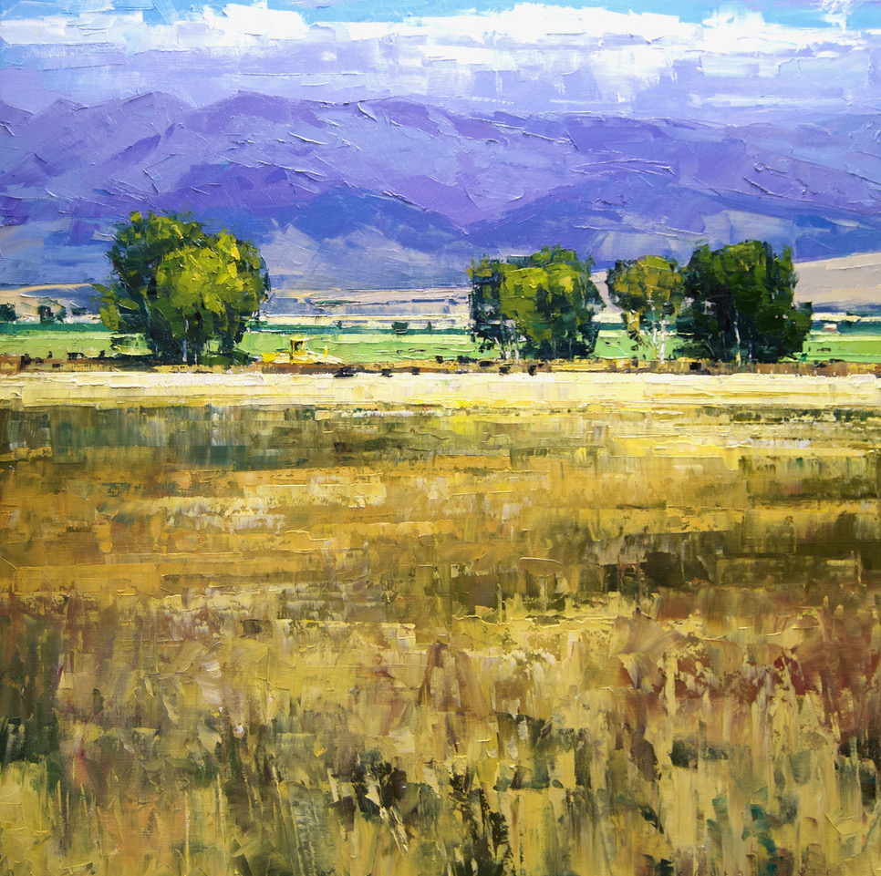 Warm Fields