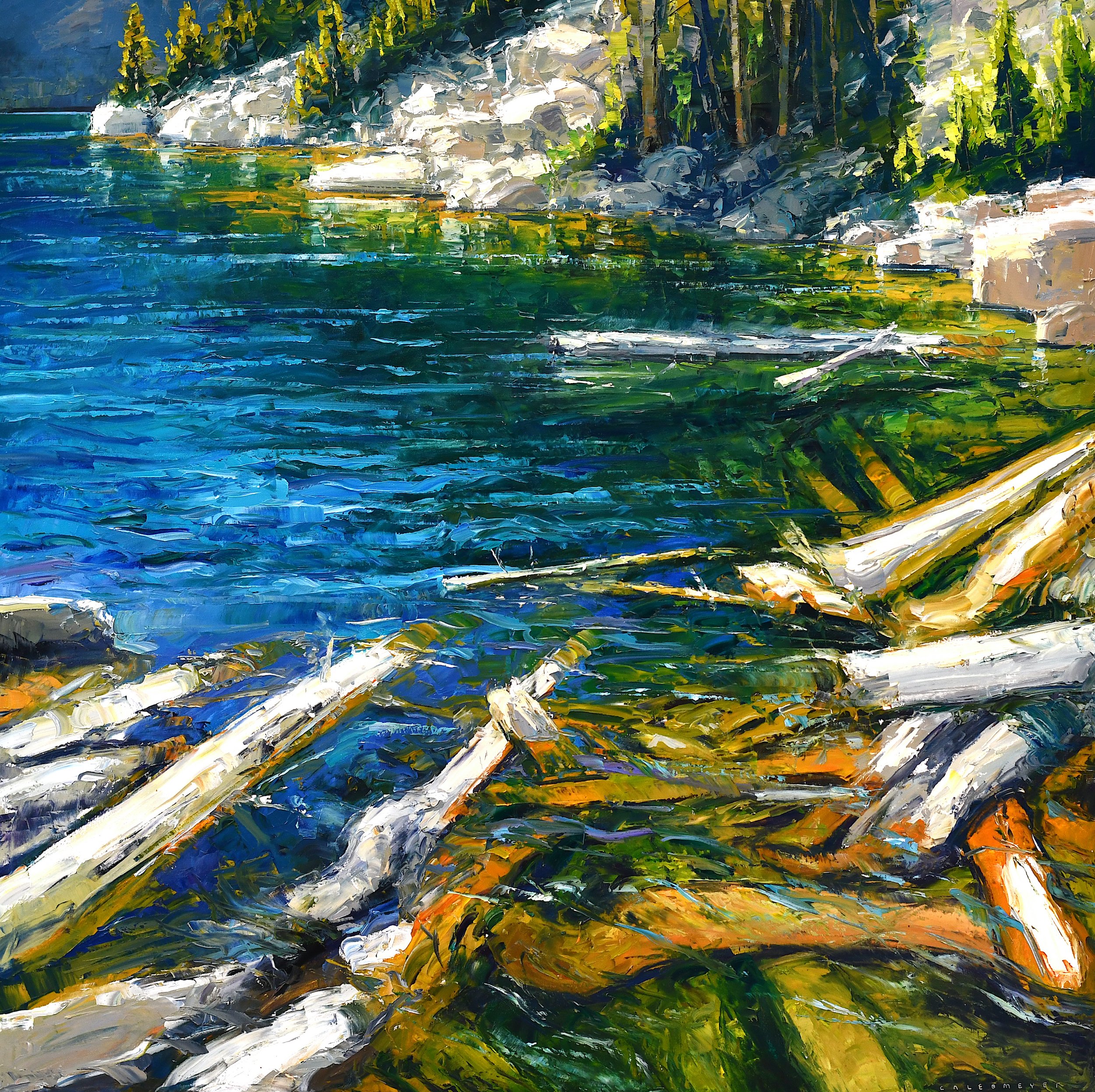 A Collection of Rocks and Logs