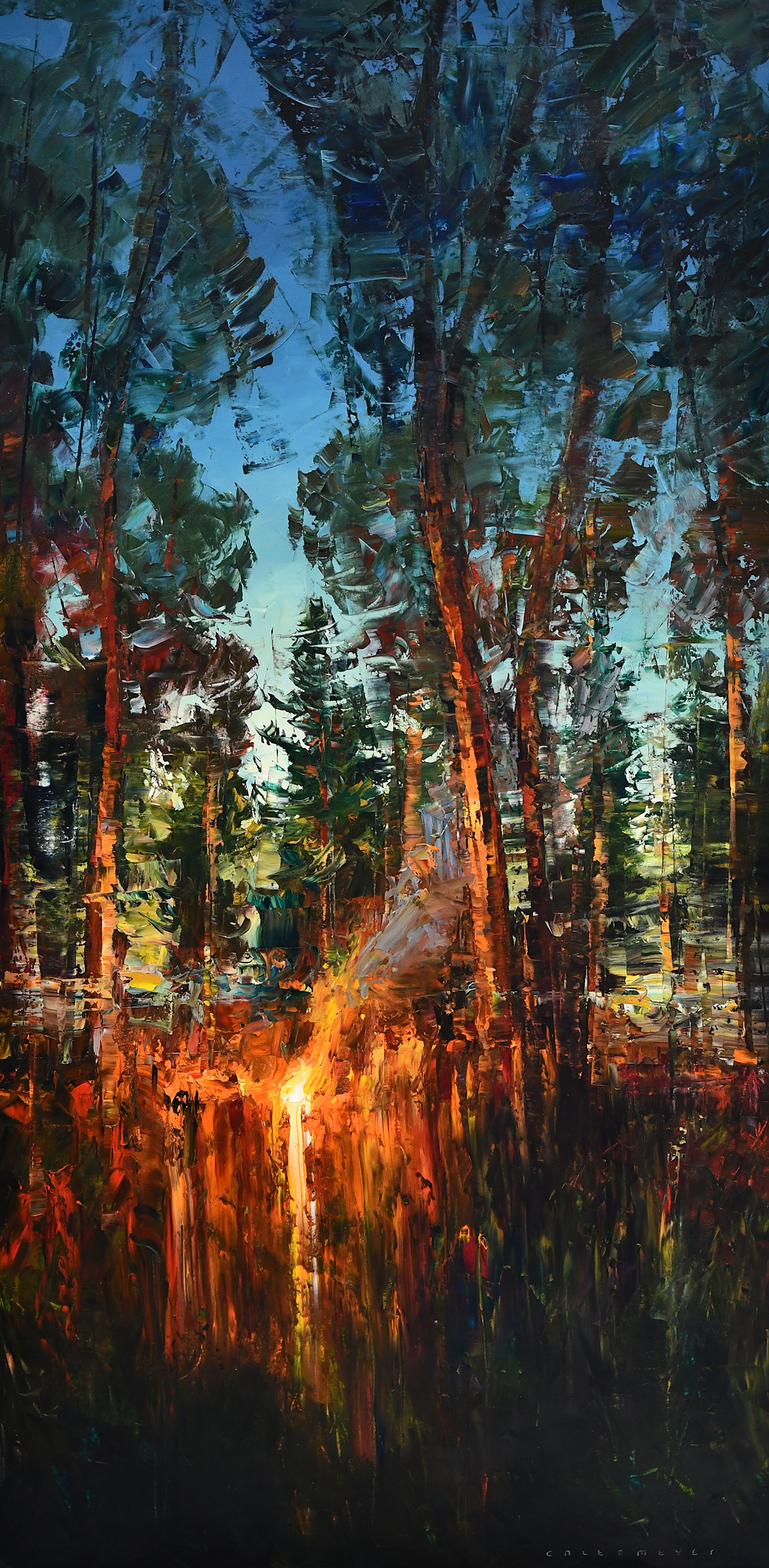 A Place in the Woods
