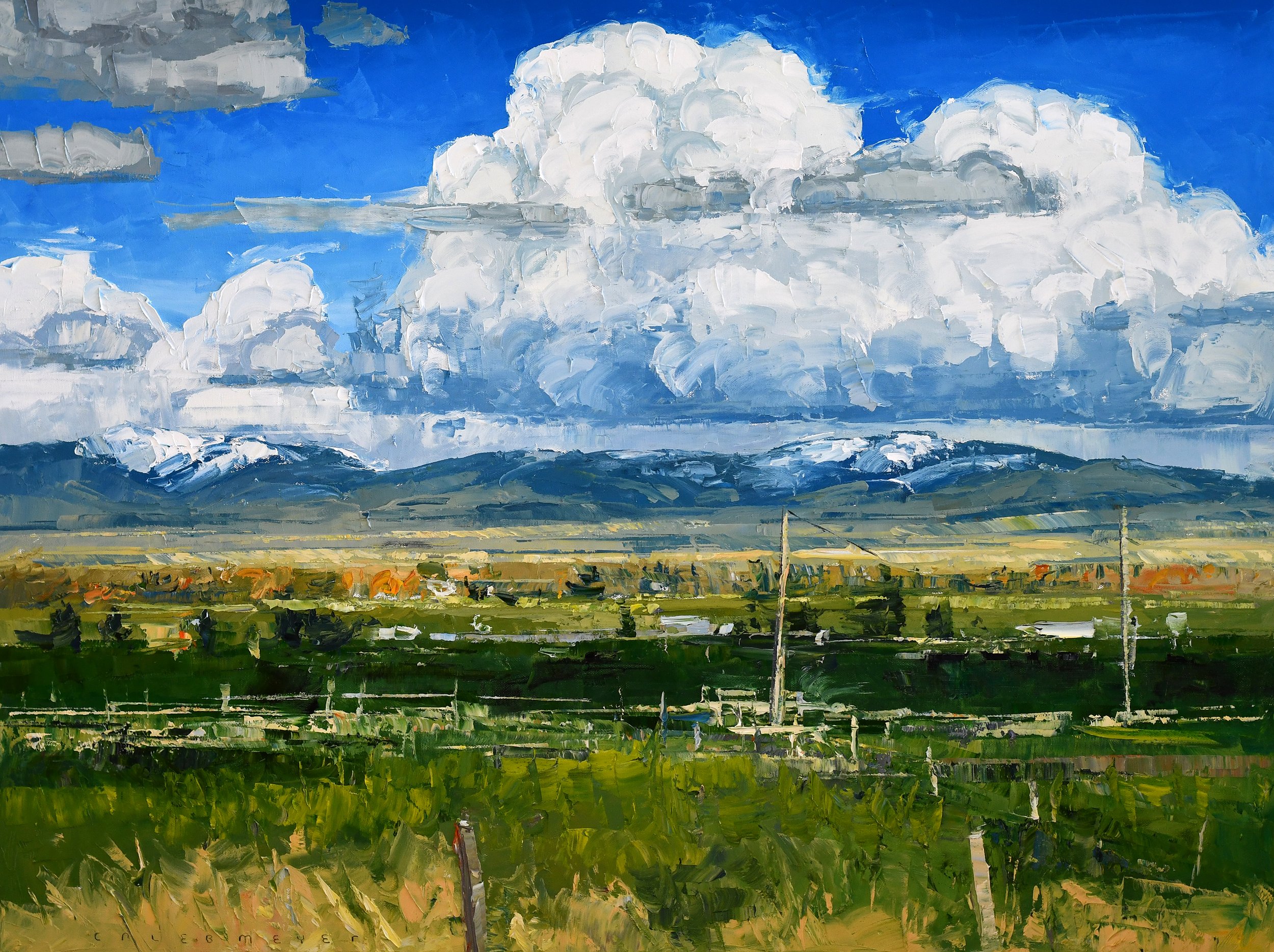 Spring Shadows
