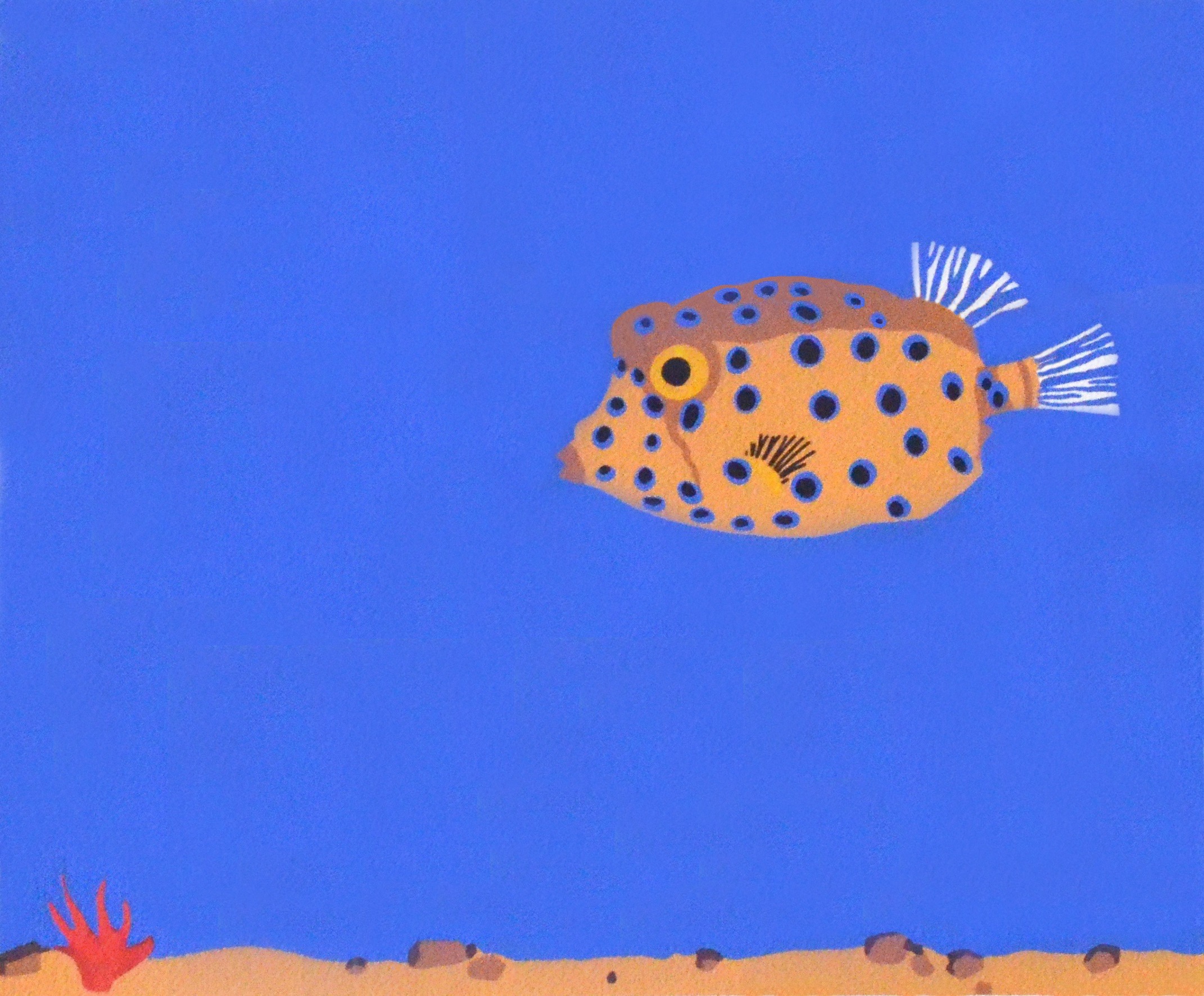 puffer fish