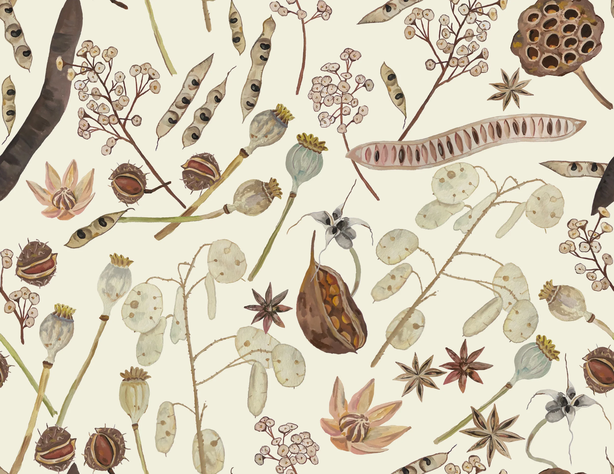 Seeds