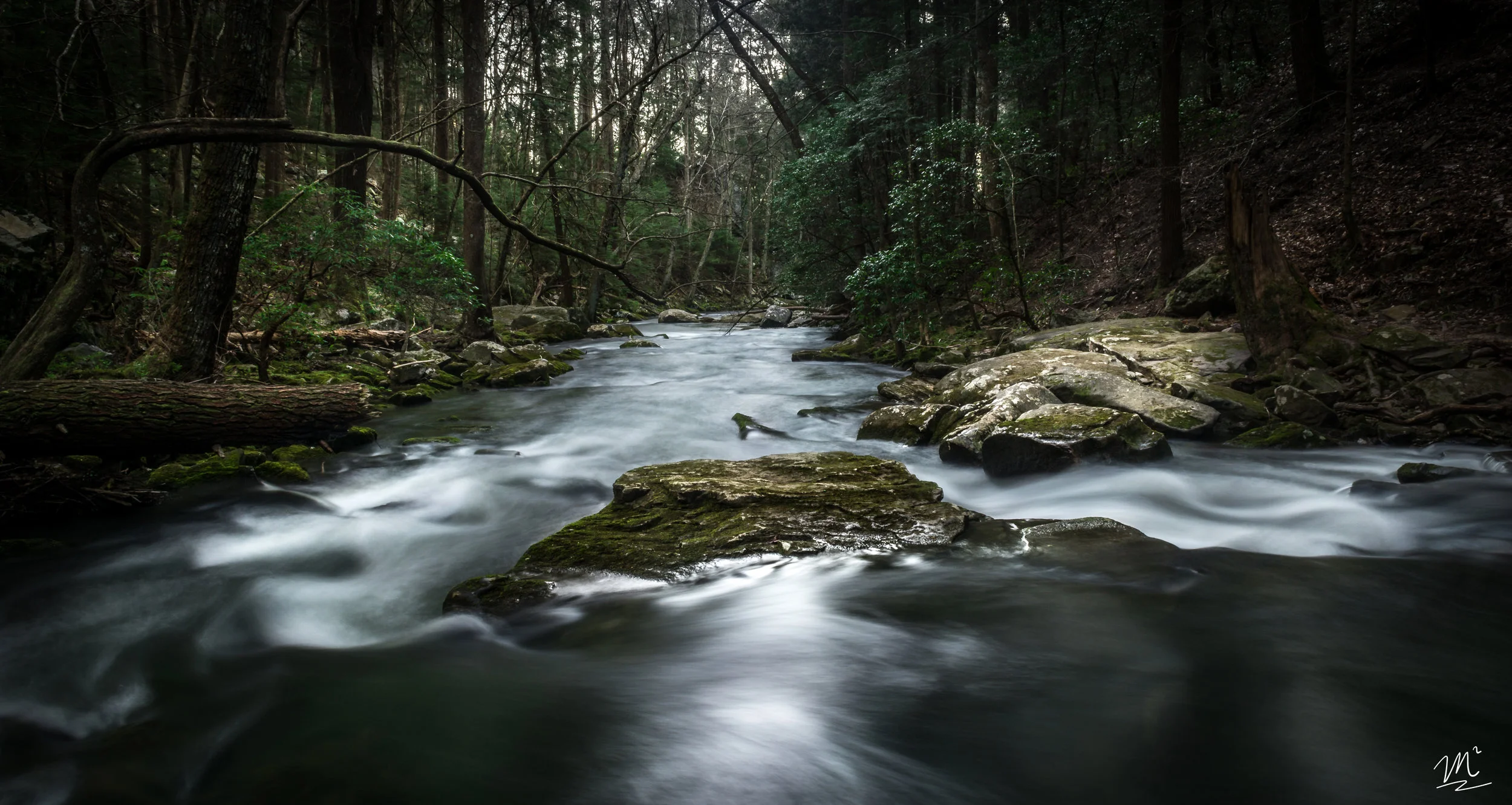 Little Gizzard Creek - Foster Falls State Park 
