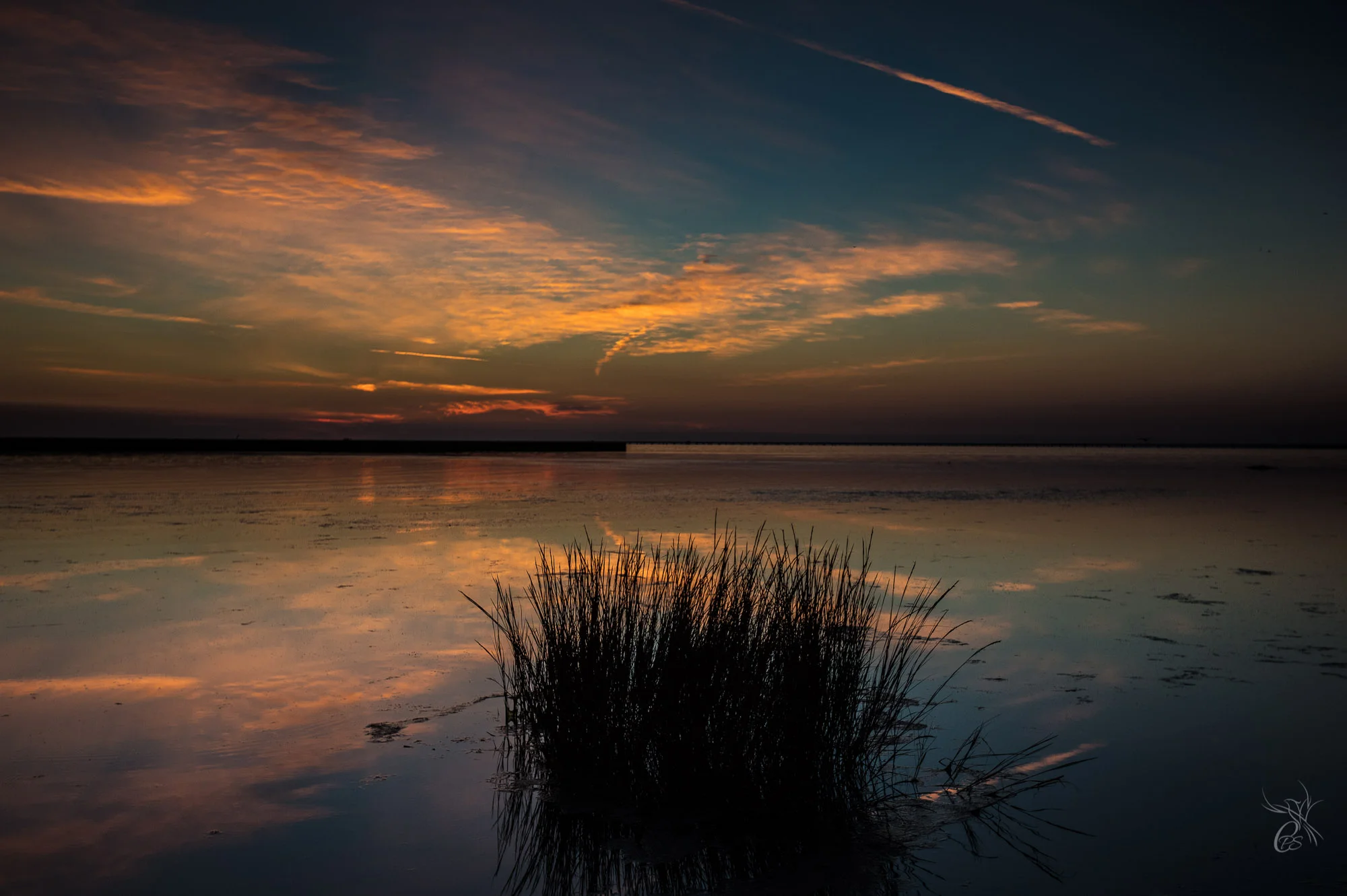 Sunset at Mandeville Lakefront