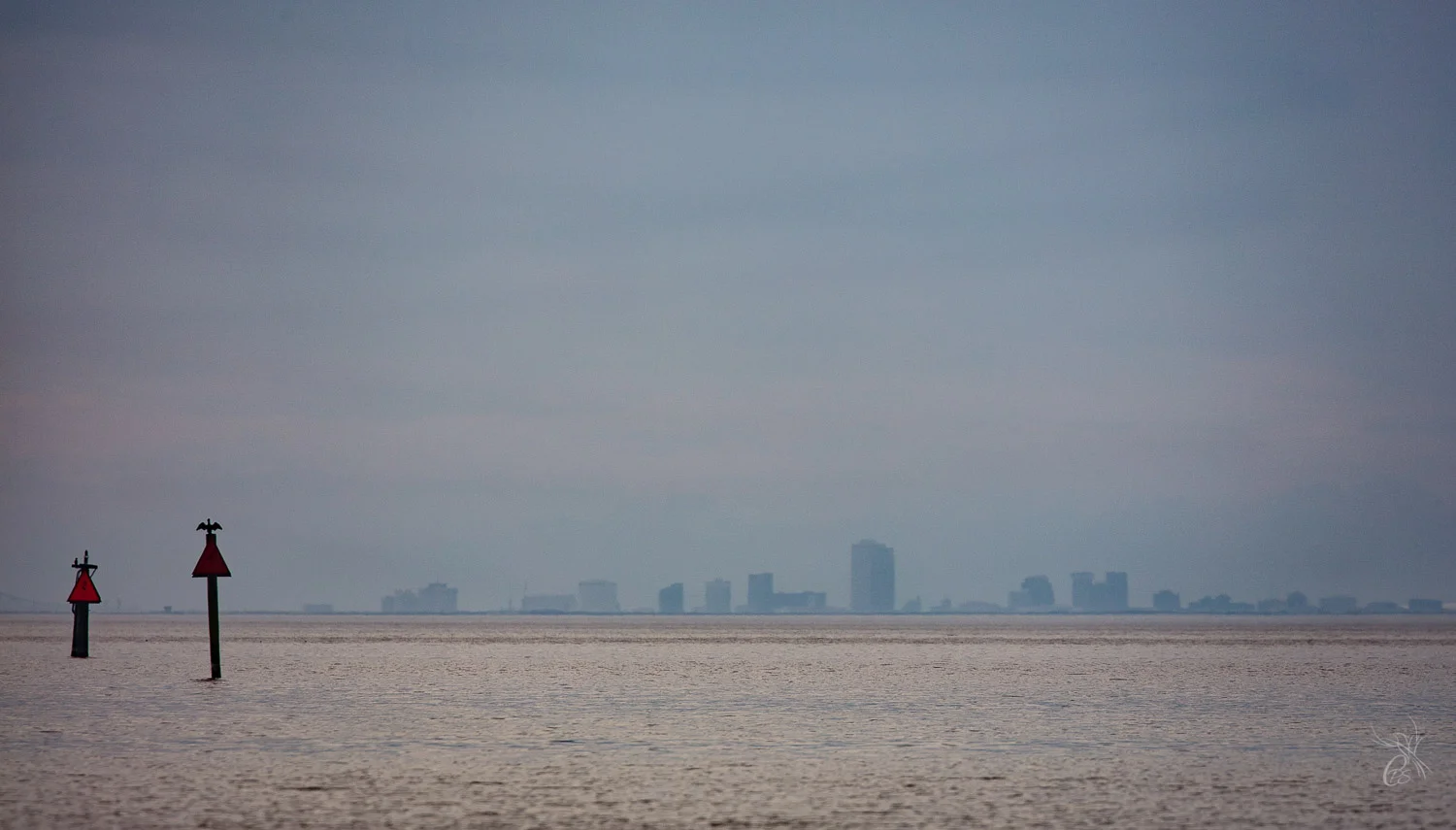 Bird on City Skyline