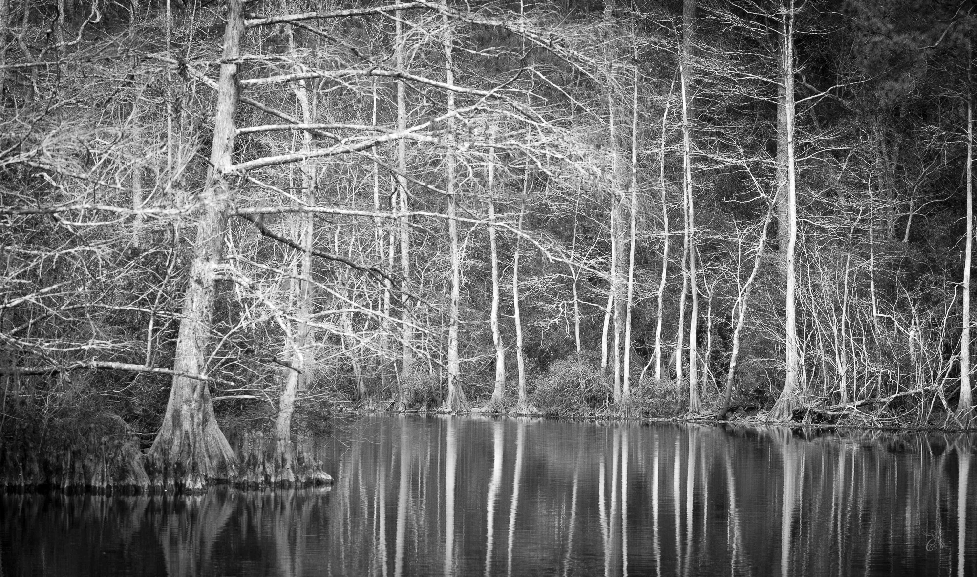 Winter Stillness
