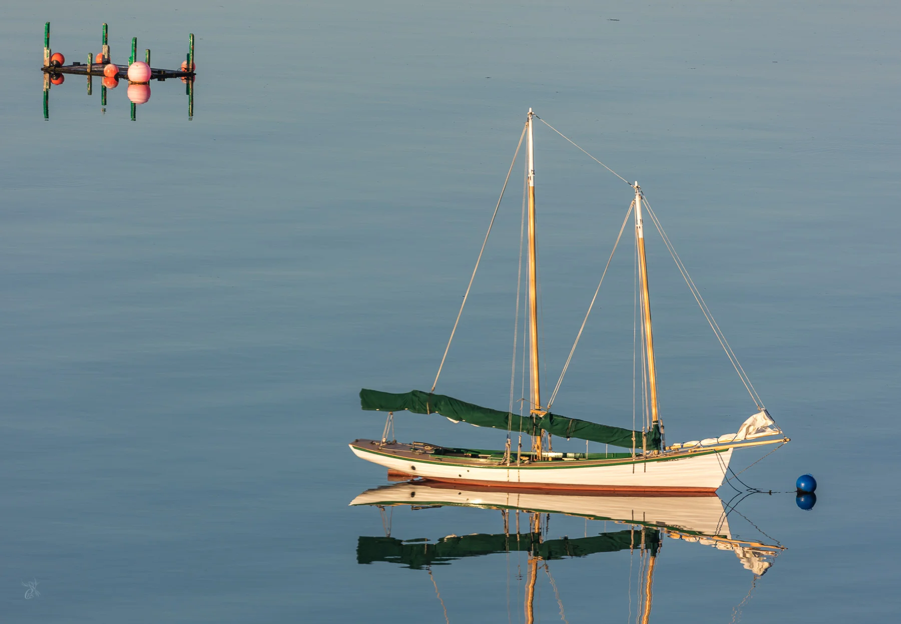 Nova Scotia: Pink Buoys